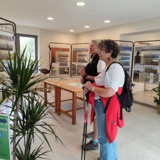 La Maison du platier ouvre ses portes dès ce samedi, une exposition photos consacrée aux phoques y sera visible.